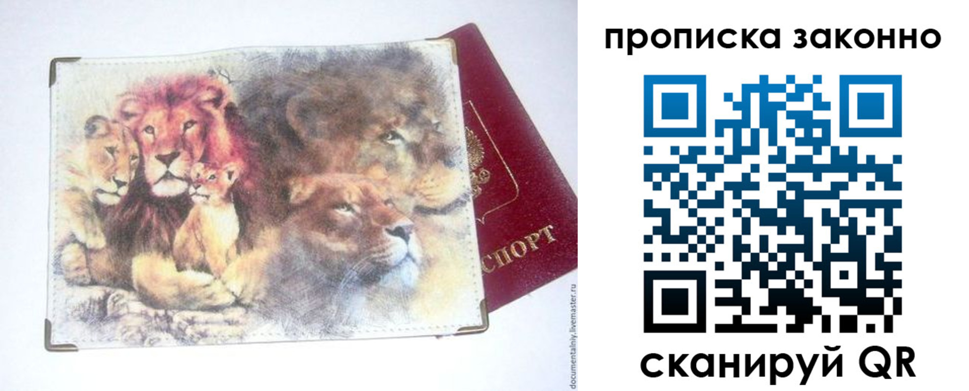 прописка от собственника в Балее